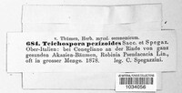 Teichospora pezizoides image